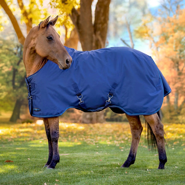 Stable Sheets & Lightweight Blankets (0- 100 Gram Fill)