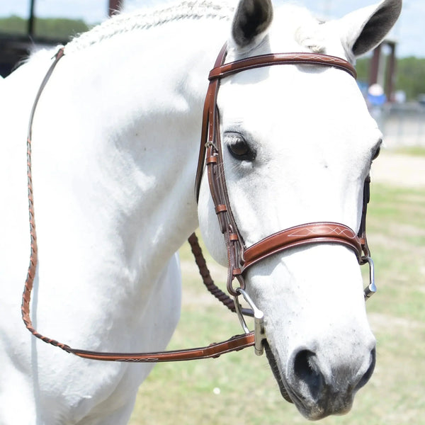 English Bridles & Accessories