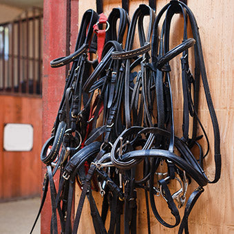 Horse Tack & Equipment