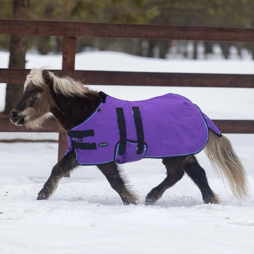 Kensington Mini 180G Medium Weight Horse Winter Turnout Blanket - Waterproof & Breathable