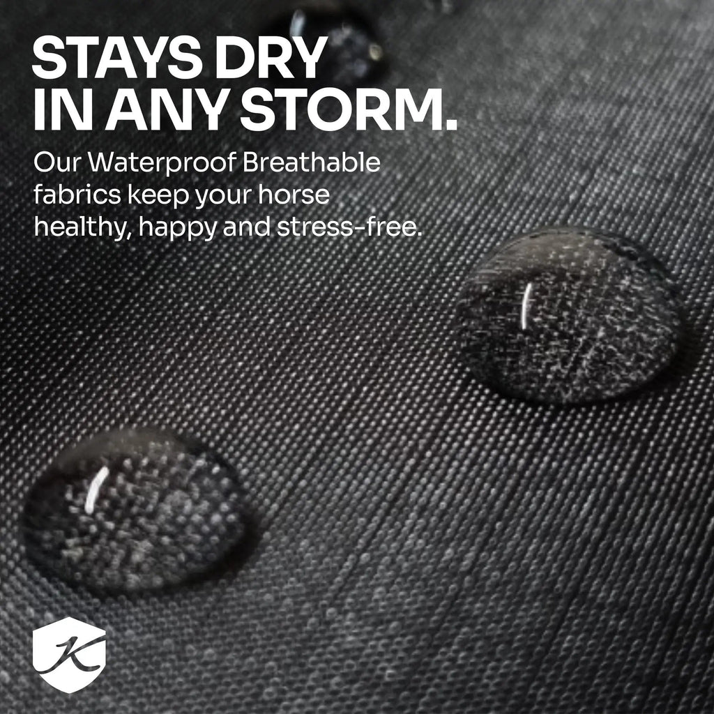 Kensington Draft Horse Lightweight 80g Winter Turnout Blanket - Waterproof & Breathable