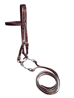 Horse Size Premium Nylon Browband Headstall w/ Reins -Cheetah Print