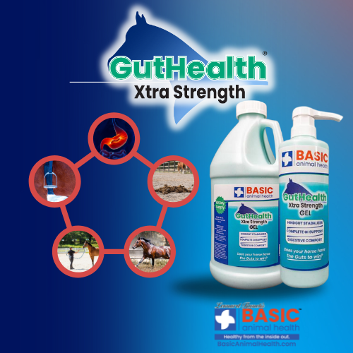 GutHealth Xtra Strength Gel for Horses - Bottles