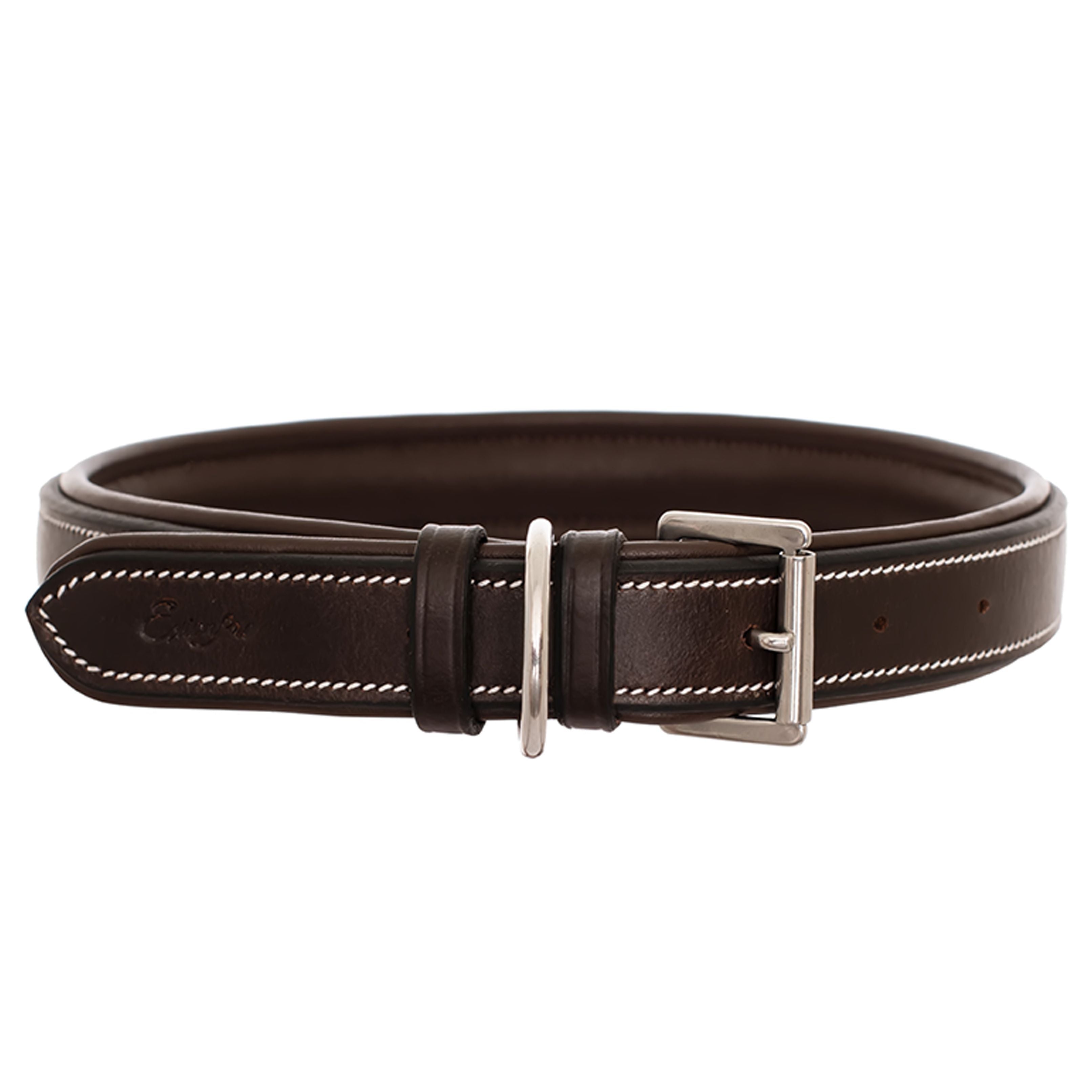ExionPro Fancy Stitched Padded Leather Dog Collar - Havana Padding