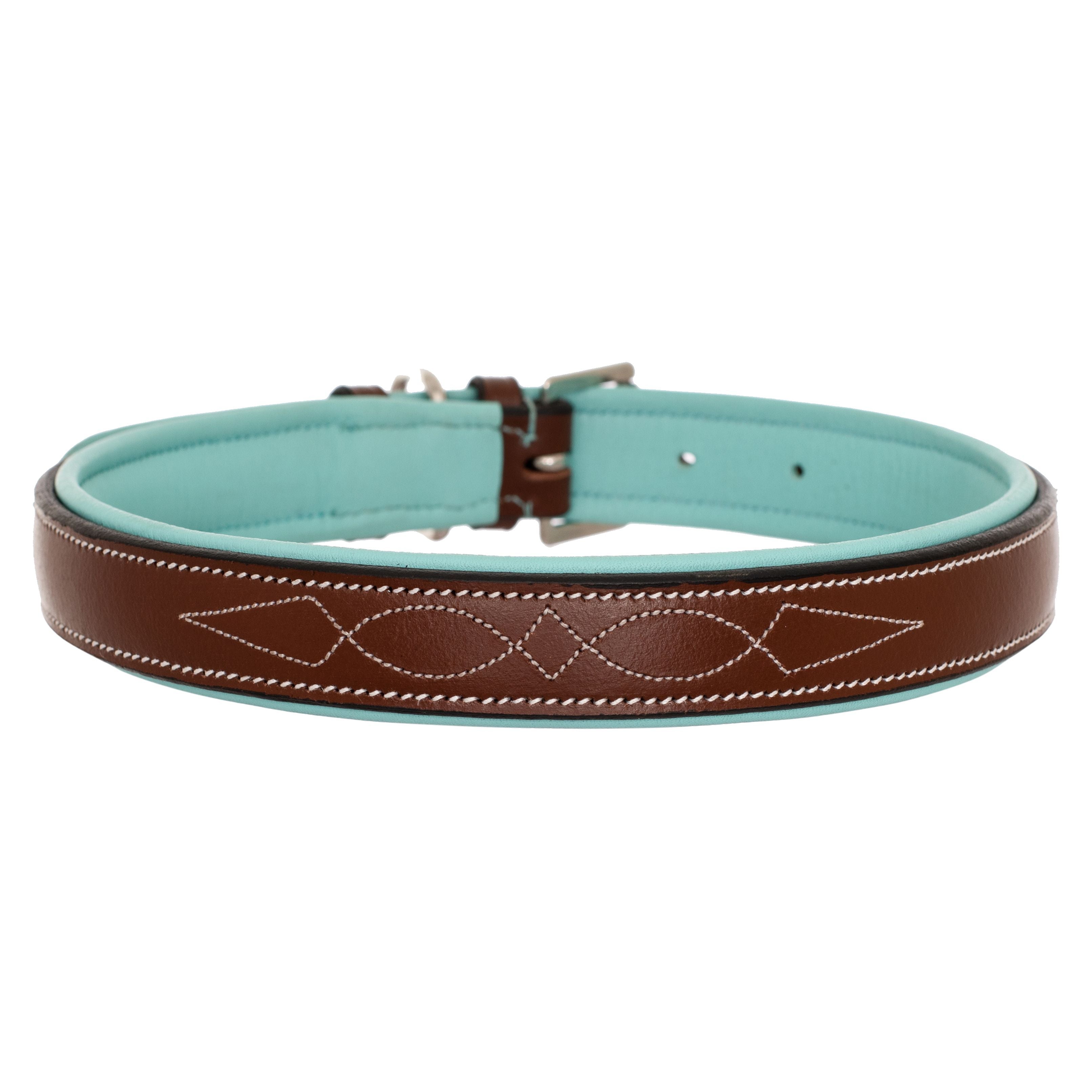 ExionPro Fancy Stitched Padded Leather Dog Collar - Sky Blue Padding