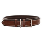 ExionPro Silver Clincher Padded Leather Dog Collar - Brown Padding