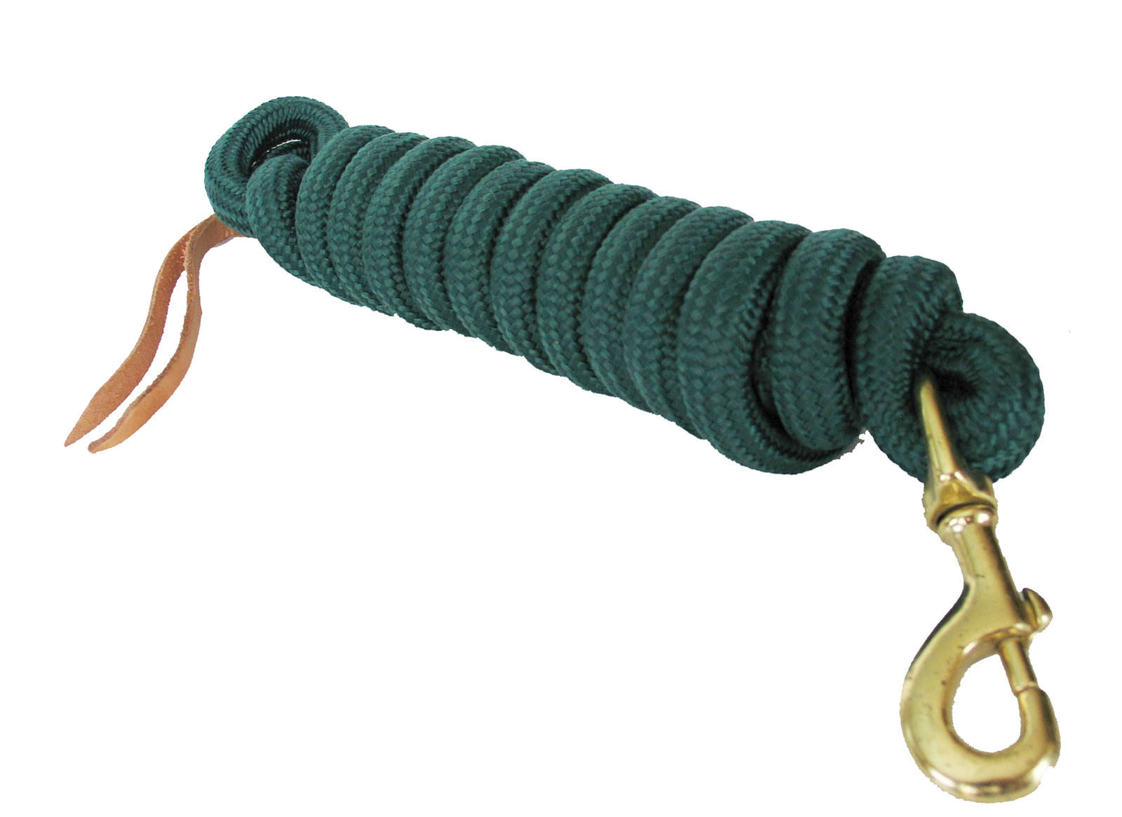 AJ Tack 9 Foot Nylon Lead Rope with Leather Popper