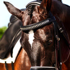 B&W - White Saddle Pad Set