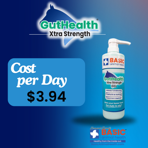 GutHealth Xtra Strength Gel for Horses - Bottles