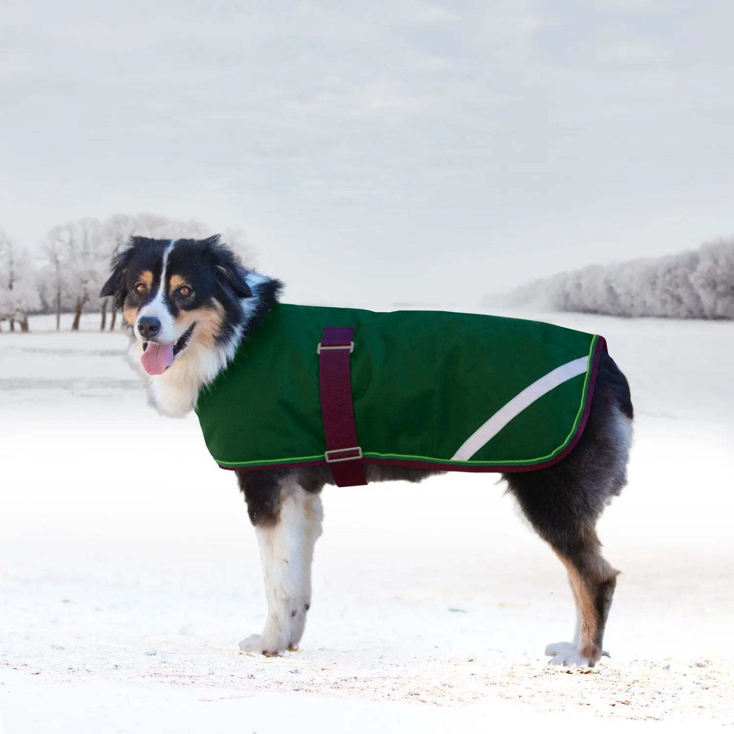 Kensington Winter Dog Coat - 180G Medium Weight - Waterproof & Breathable