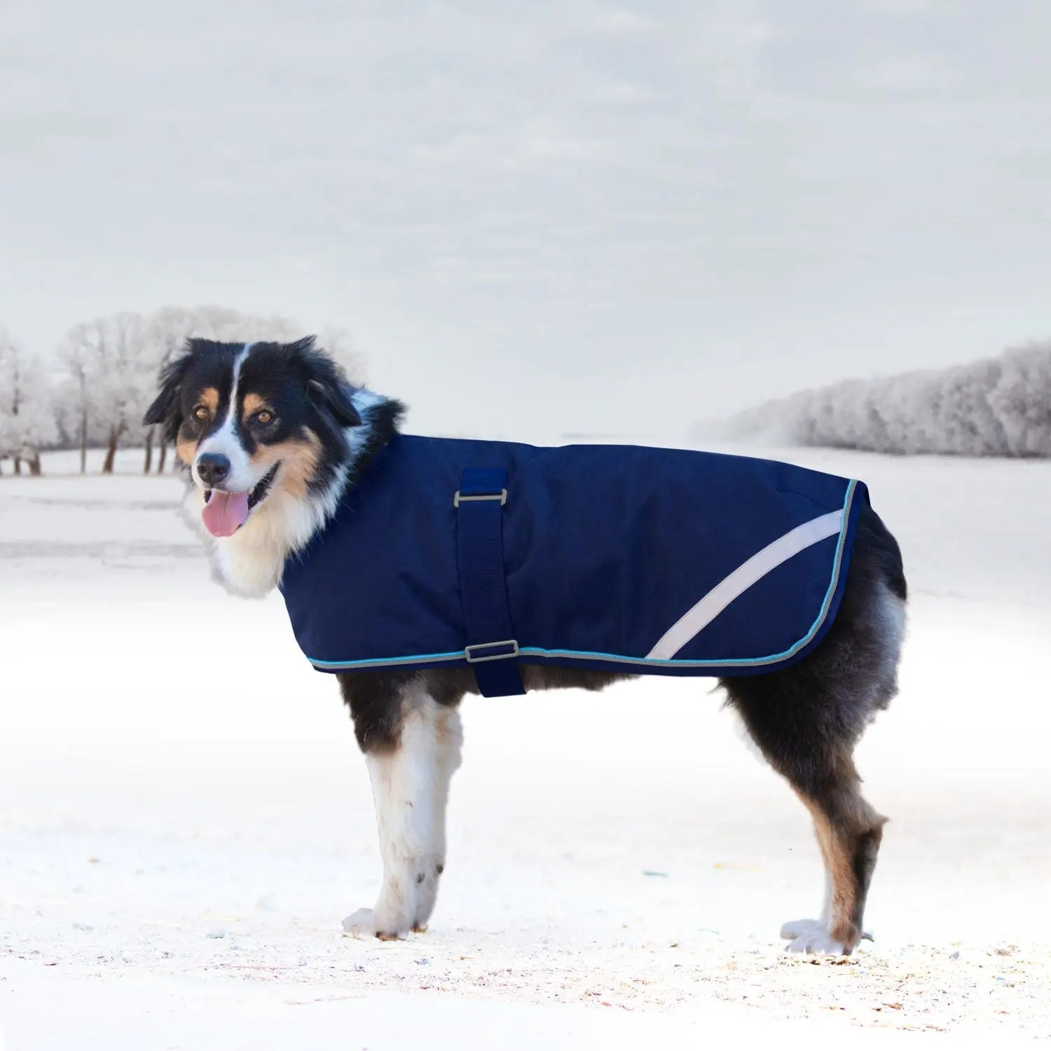 Kensington Winter Dog Coat - 180G Medium Weight - Waterproof & Breathable