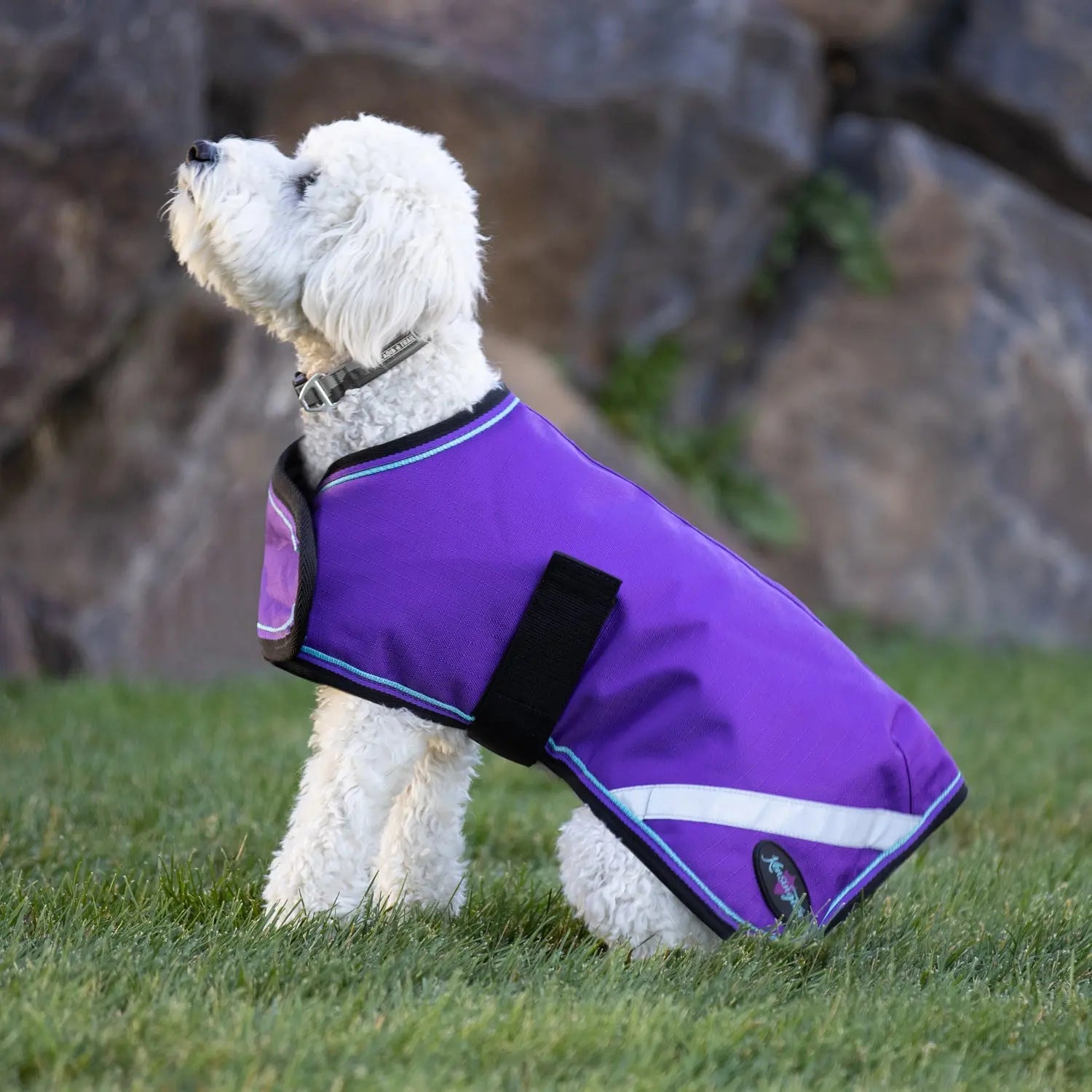 Kensington Winter Dog Coat - 180G Medium Weight - Waterproof & Breathable