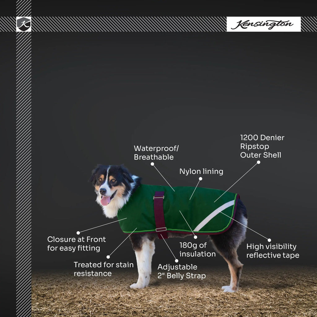 Kensington Winter Dog Coat - 180G Medium Weight - Waterproof & Breathable
