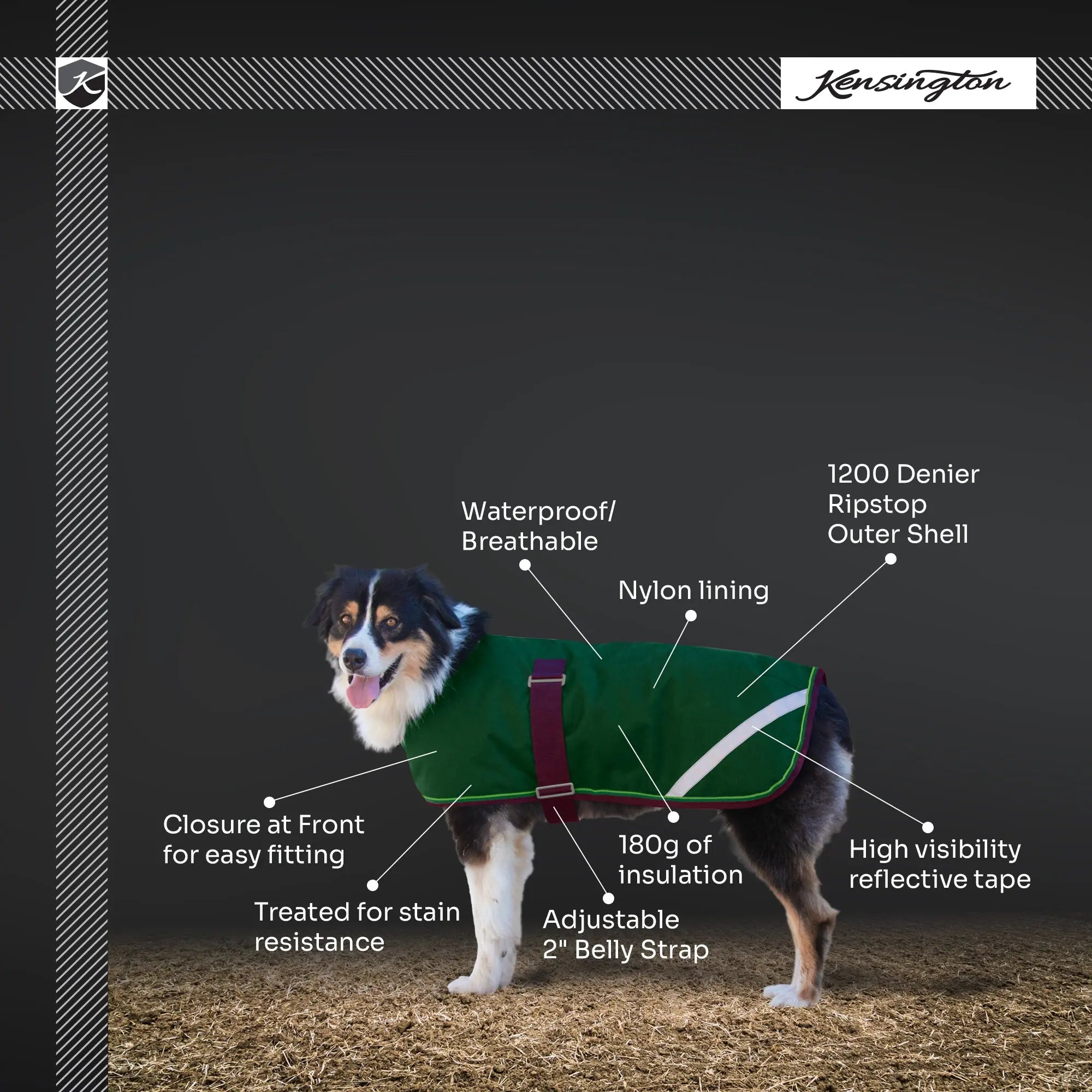 Kensington Winter Dog Coat - 180G Medium Weight - Waterproof & Breathable