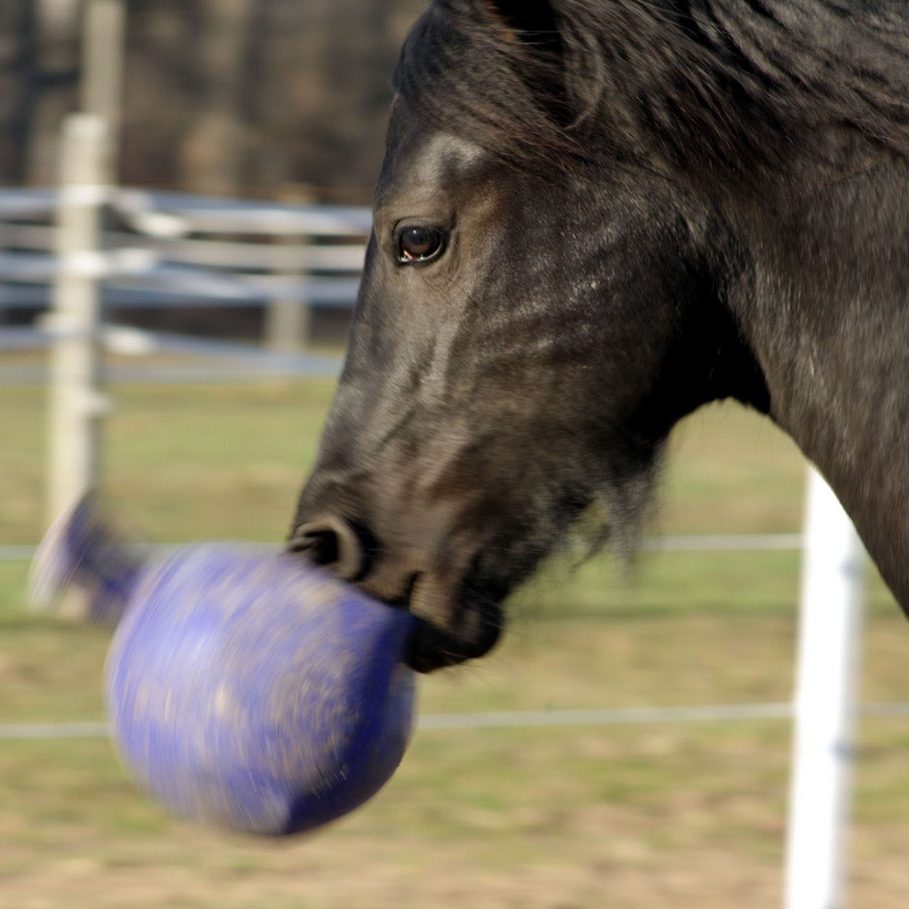 Jolly Ball® 10"