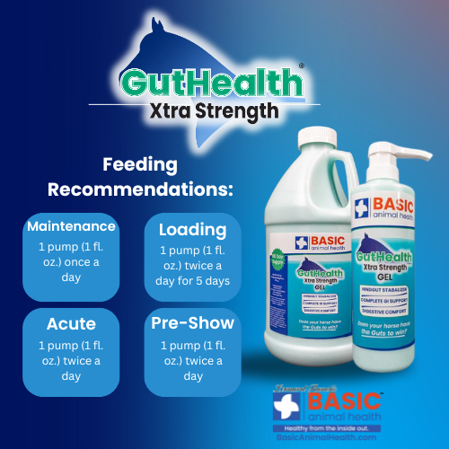 GutHealth Xtra Strength Gel for Horses - Bottles