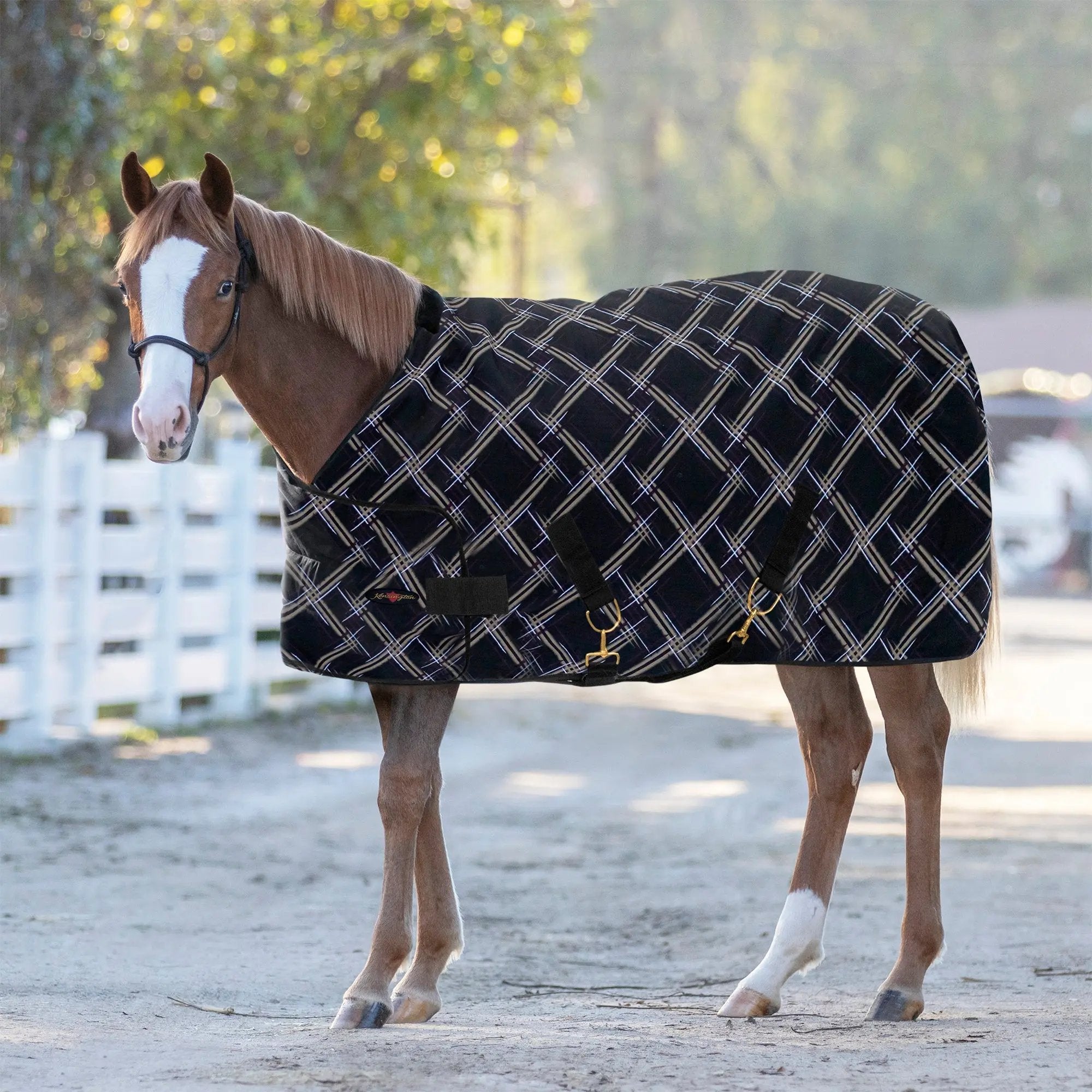 1200D Adjustable Weanling 180G Medium Weight Winter Turnout Blanket - Waterproof & Breathable