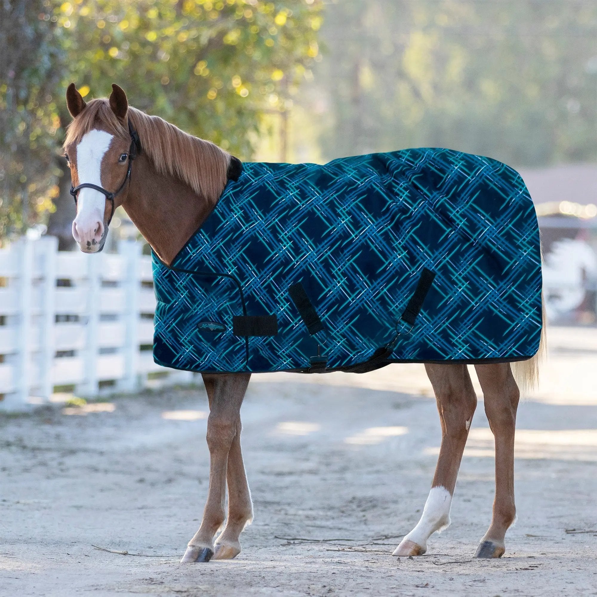 1200D Adjustable Weanling 180G Medium Weight Winter Turnout Blanket - Waterproof & Breathable