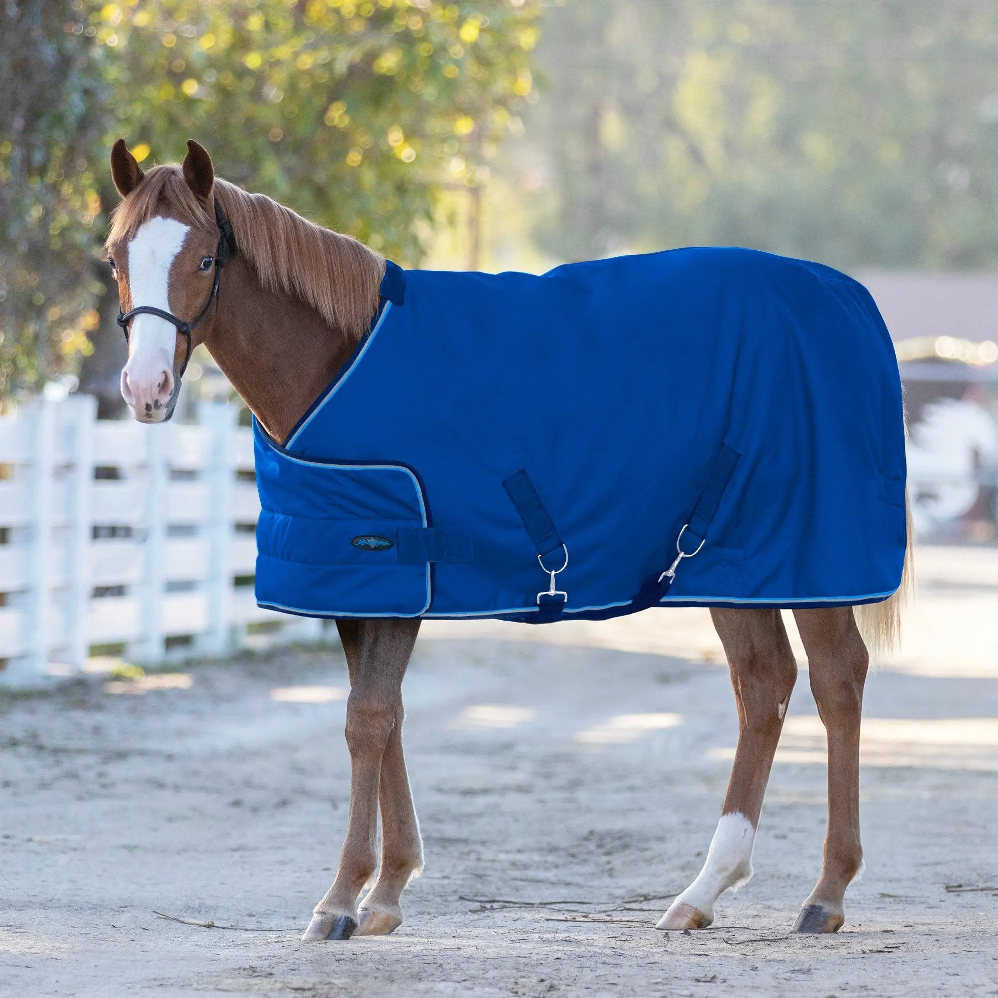 1200D Adjustable Weanling 180G Medium Weight Winter Turnout Blanket - Waterproof & Breathable