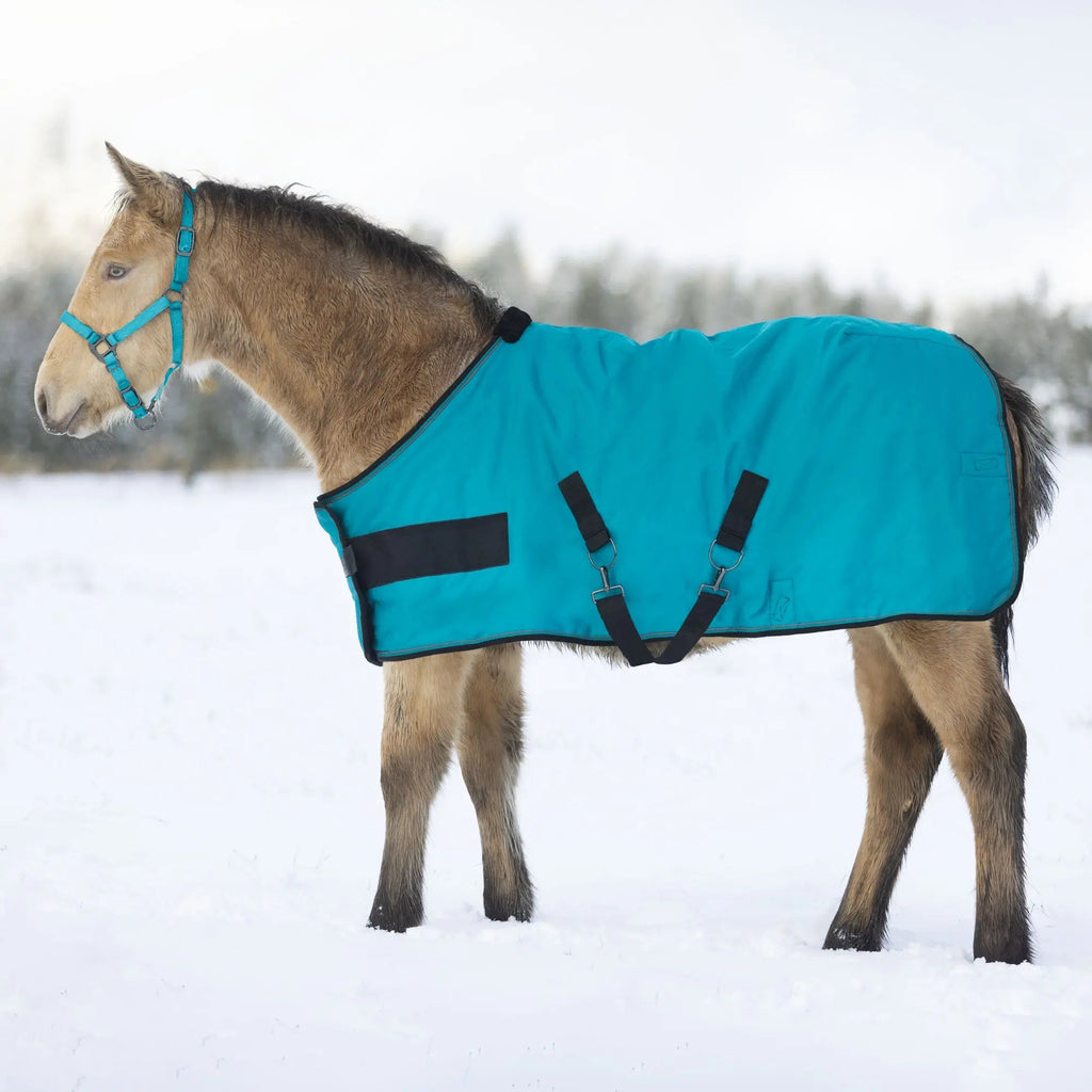 Kensington 1200D Adjustable Weanling 180G Medium Weight Winter Turnout Blanket - Waterproof & Breathable