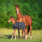 Kensington 1200D Adjustable Foal 180G Medium Weight Winter Turnout Blanket - Waterproof & Breathable