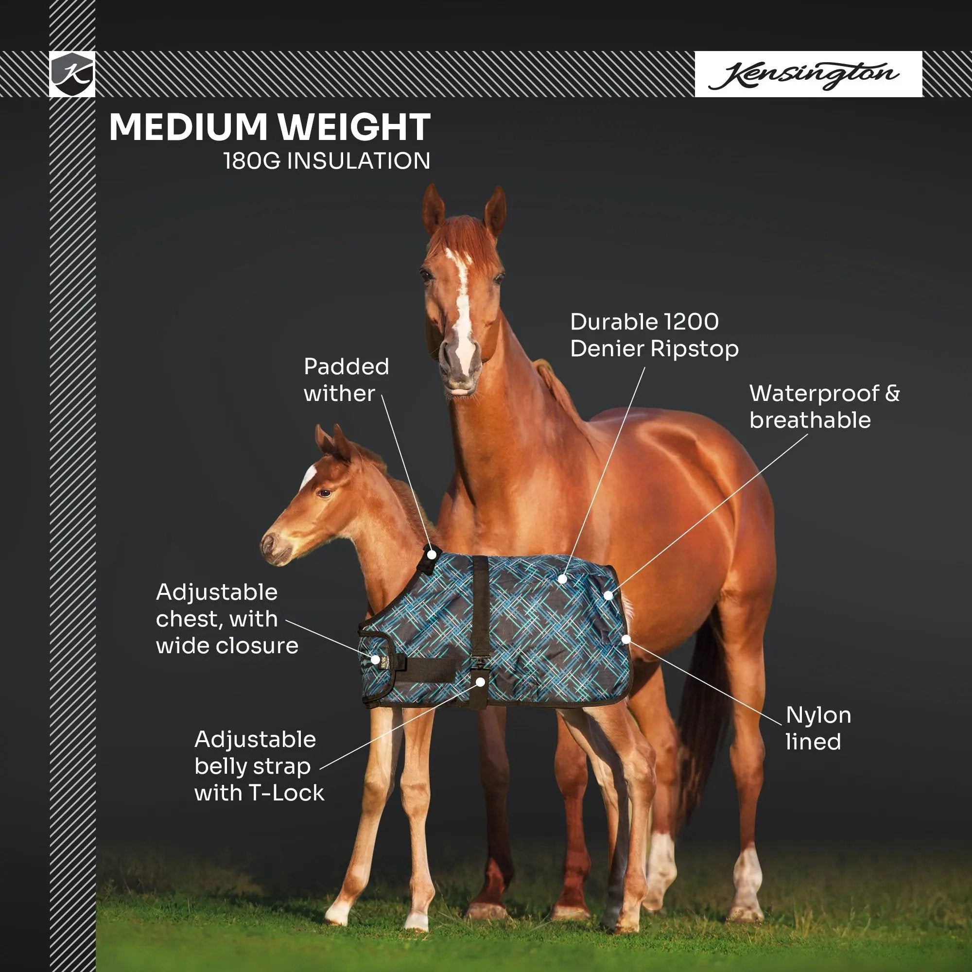 1200D Adjustable Foal 180G Medium Weight Winter Turnout Blanket - Waterproof & Breathable