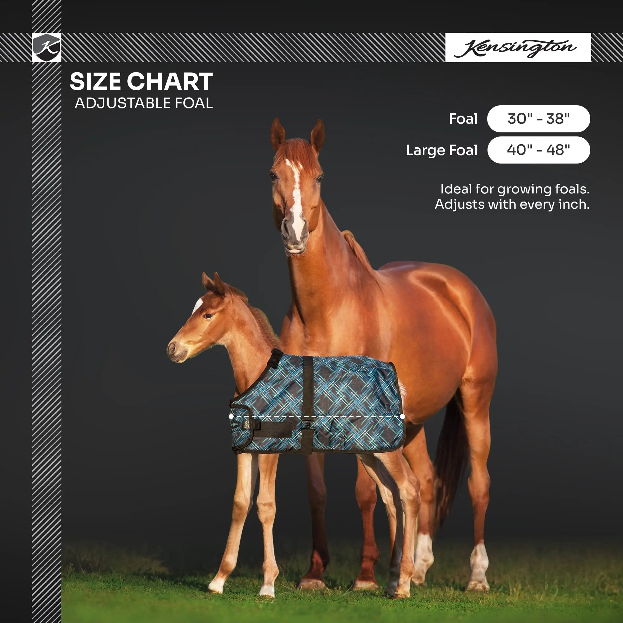 1200D Adjustable Foal 180G Medium Weight Winter Turnout Blanket - Waterproof & Breathable