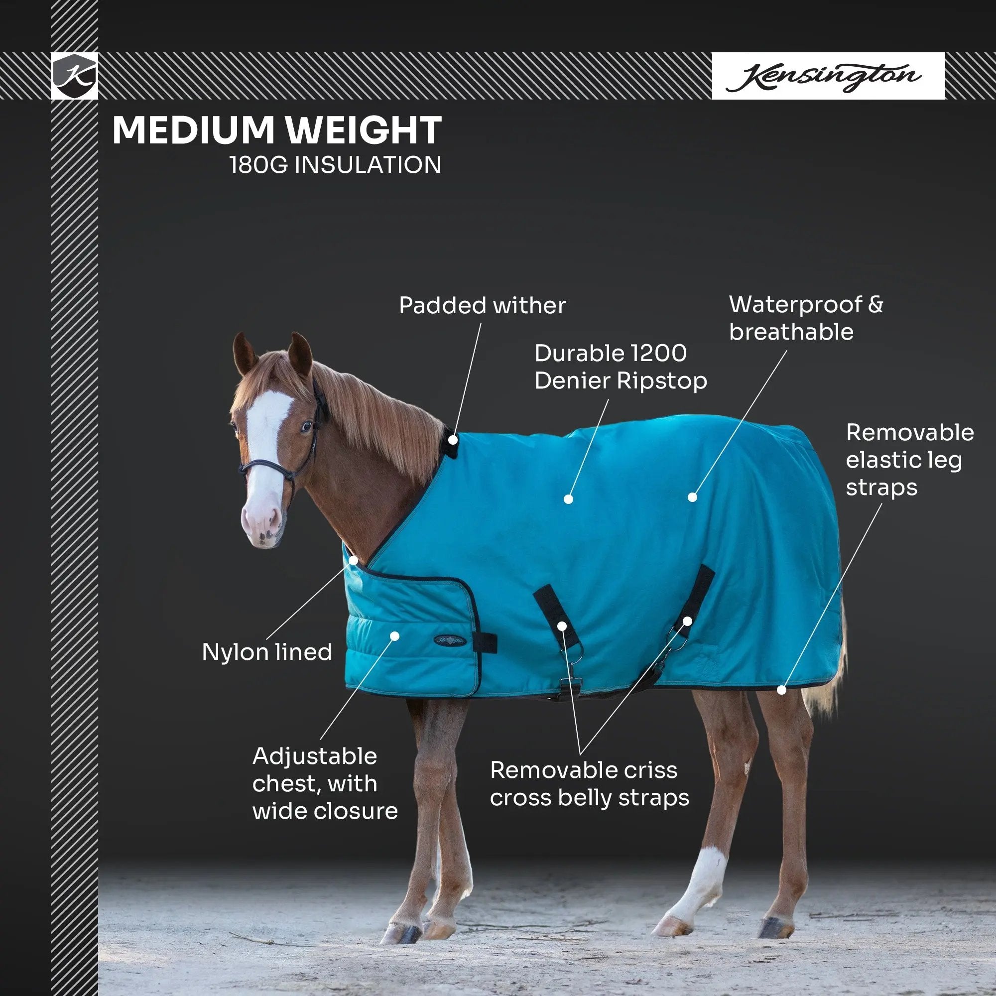 1200D Adjustable Juvenile 180G Medium Weight Winter Turnout Blanket - Waterproof & Breathable