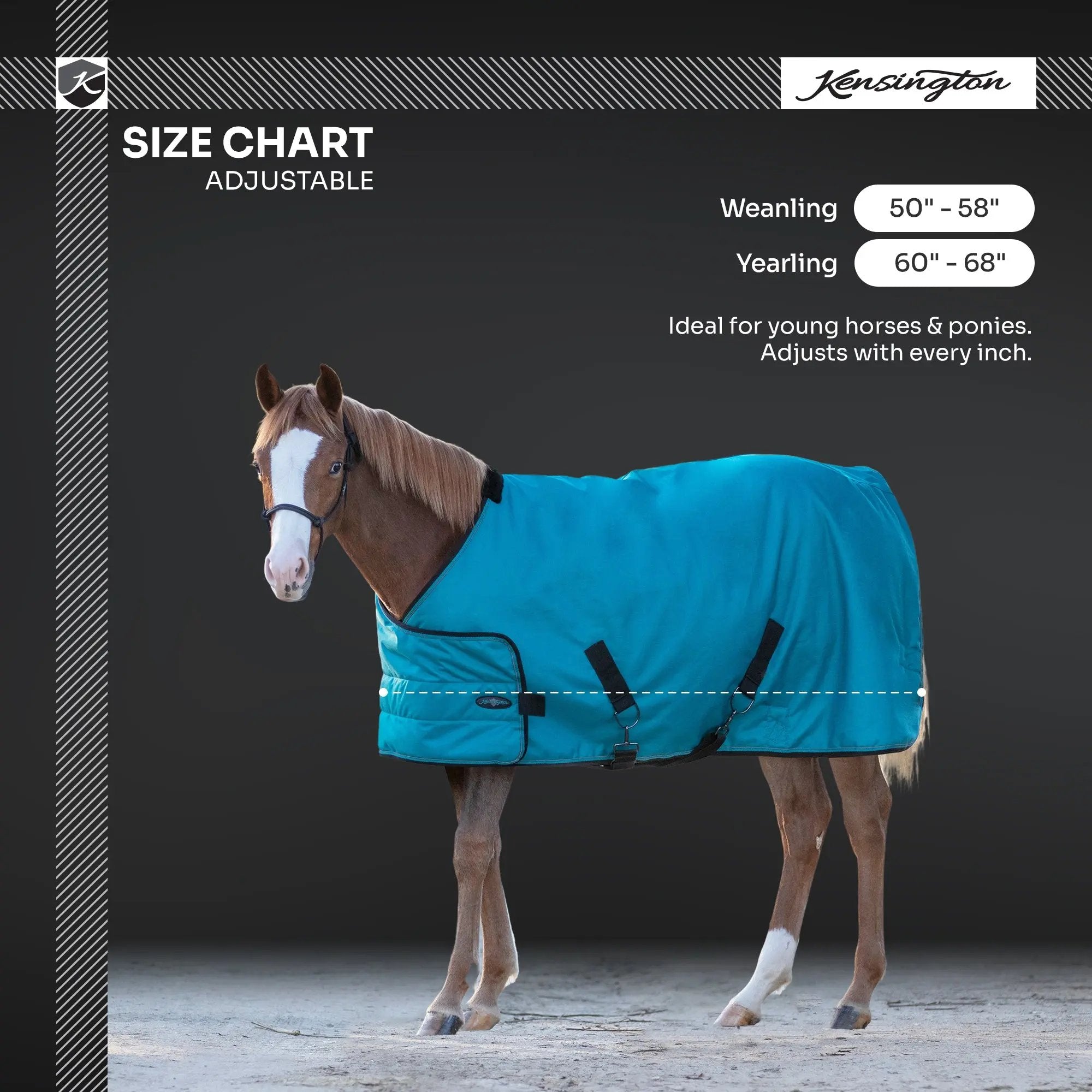 1200D Adjustable Weanling 180G Medium Weight Winter Turnout Blanket - Waterproof & Breathable