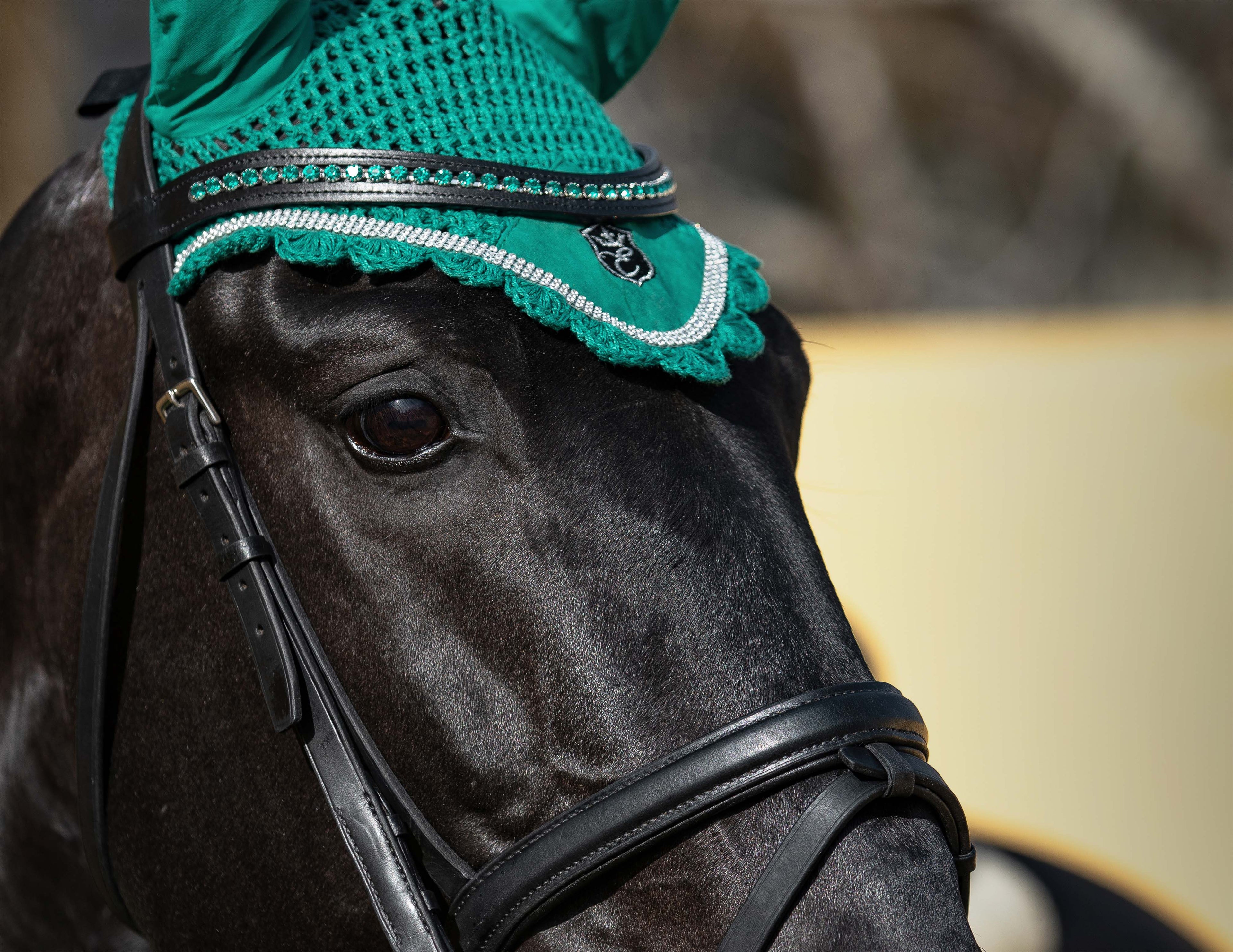 Teal Saddle Pad Set