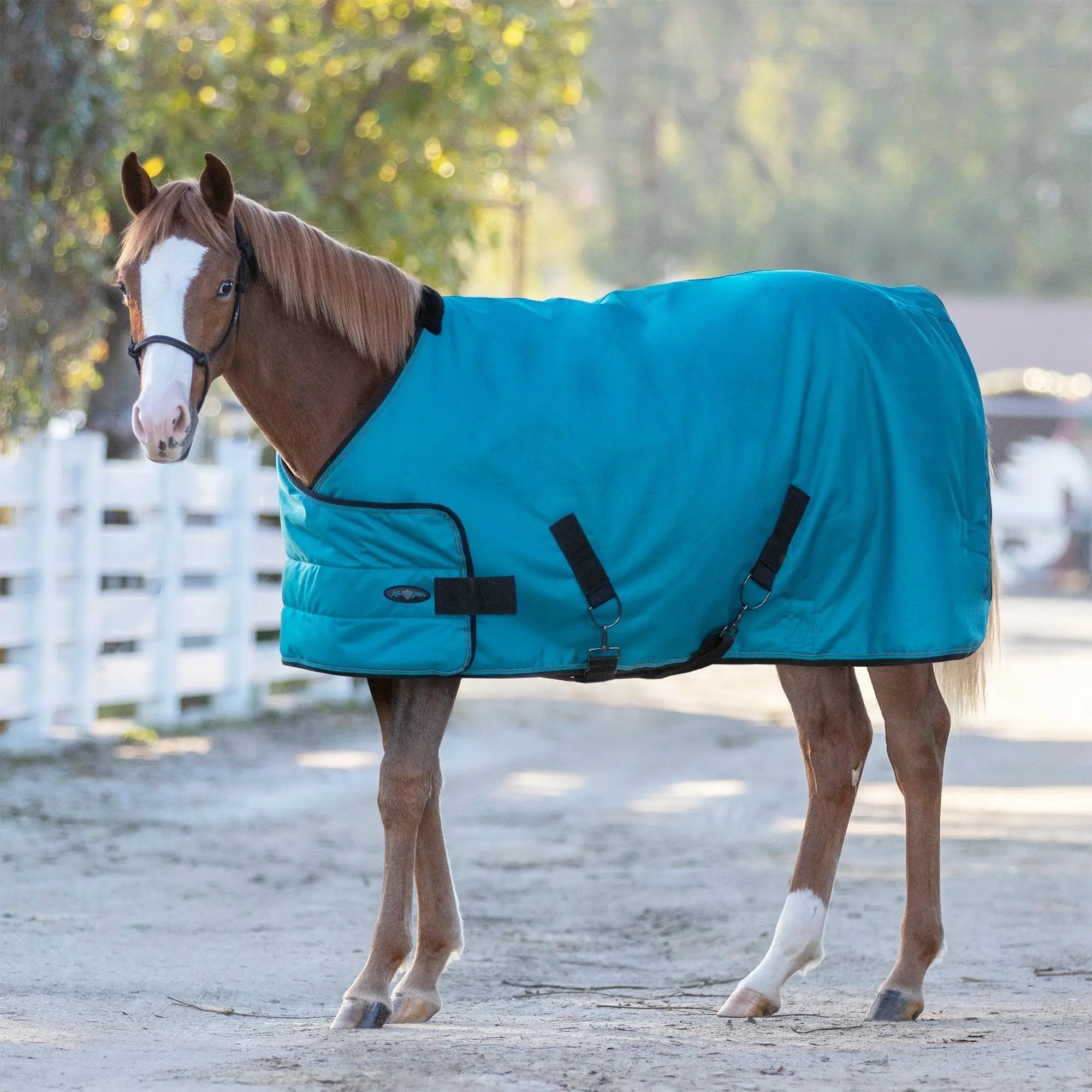 1200D Adjustable Juvenile 180G Medium Weight Winter Turnout Blanket - Waterproof & Breathable
