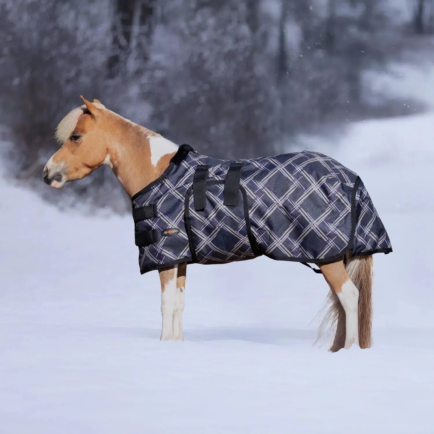 Kensington Mini 300G Heavy Weight Horse Winter Turnout Blanket - Waterproof & Breathable