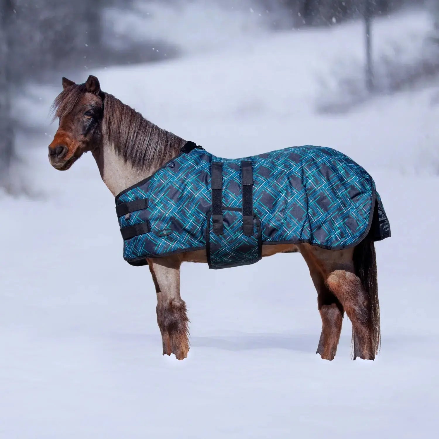 Kensington Mini 300G Heavy Weight Horse Winter Turnout Blanket - Waterproof & Breathable