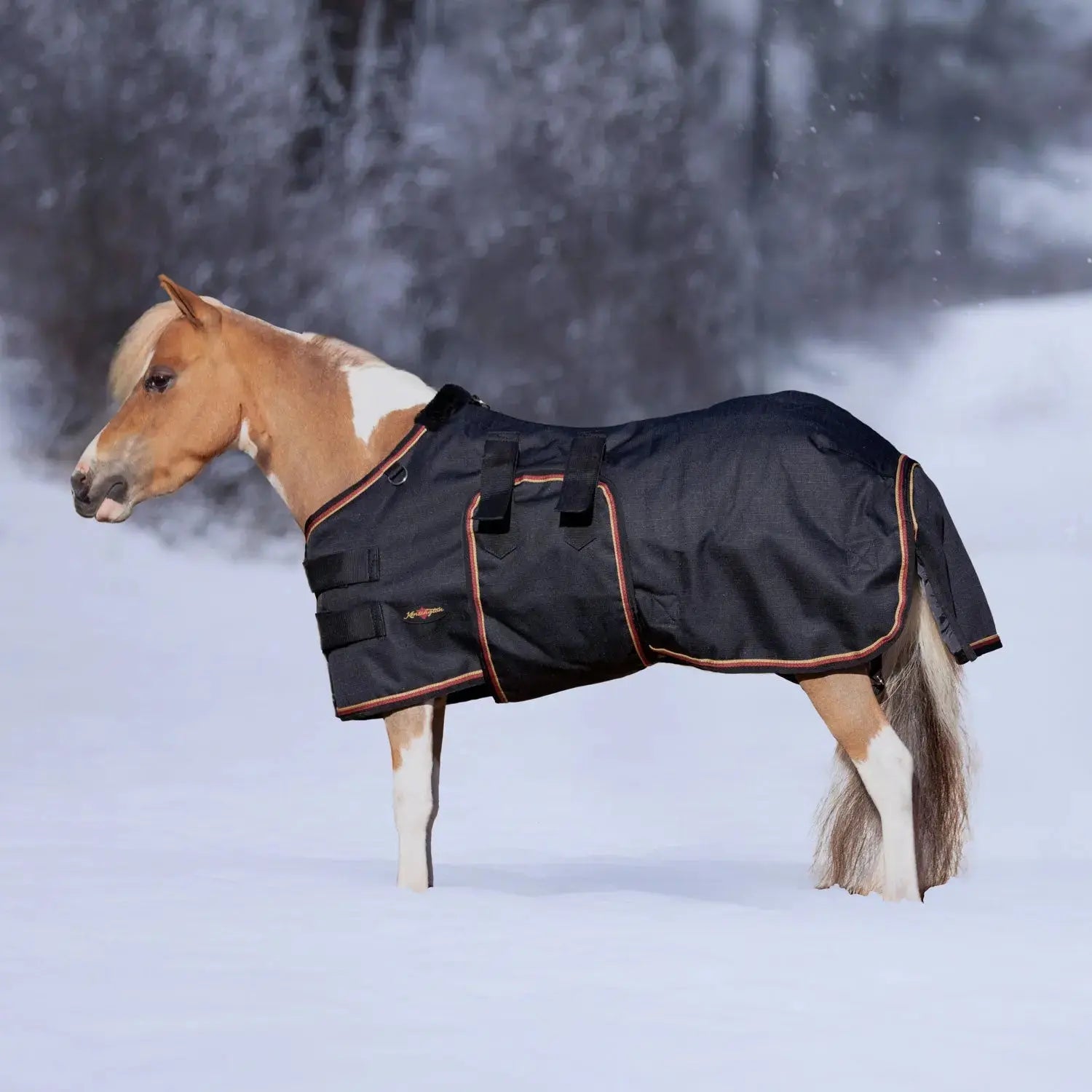 Kensington Mini 300G Heavy Weight Horse Winter Turnout Blanket - Waterproof & Breathable