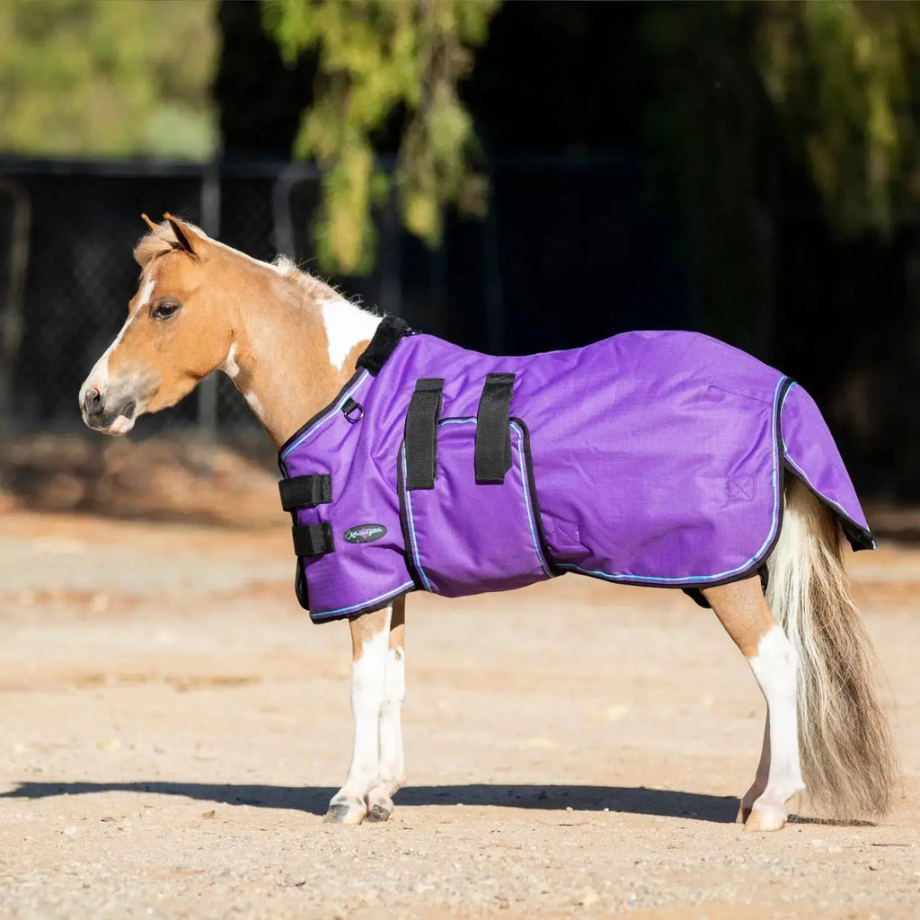 Kensington Mini 80G Light Weight Horse Winter Turnout Blanket - Waterproof & Breathable