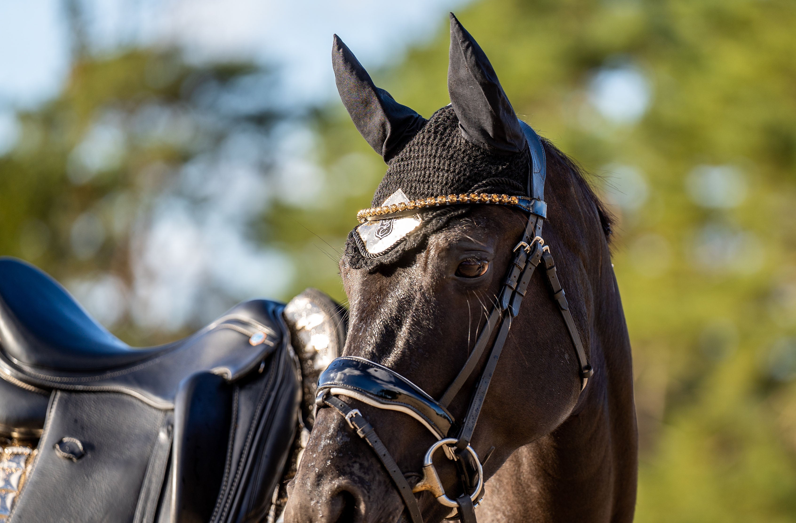Aurum Saddle Pad Set
