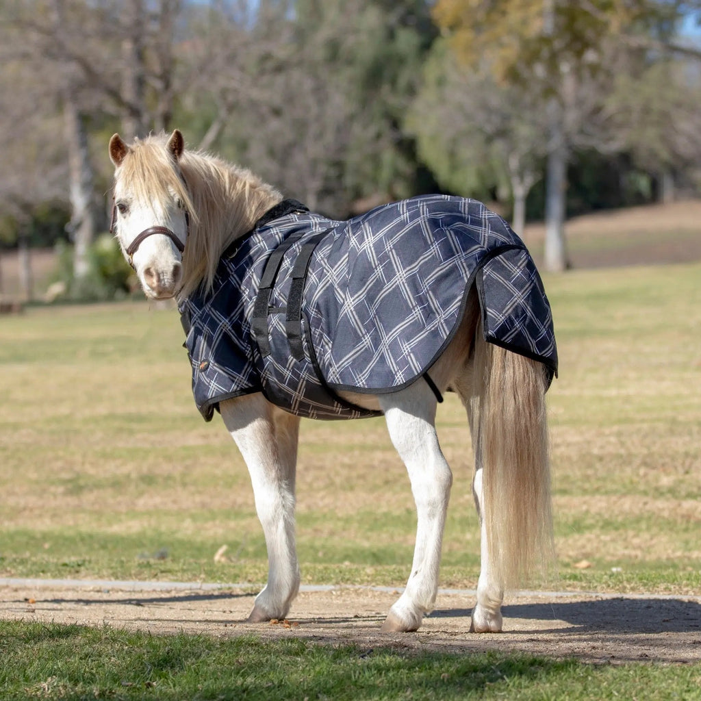 Kensington Mini 80G Light Weight Horse Winter Turnout Blanket - Waterproof & Breathable