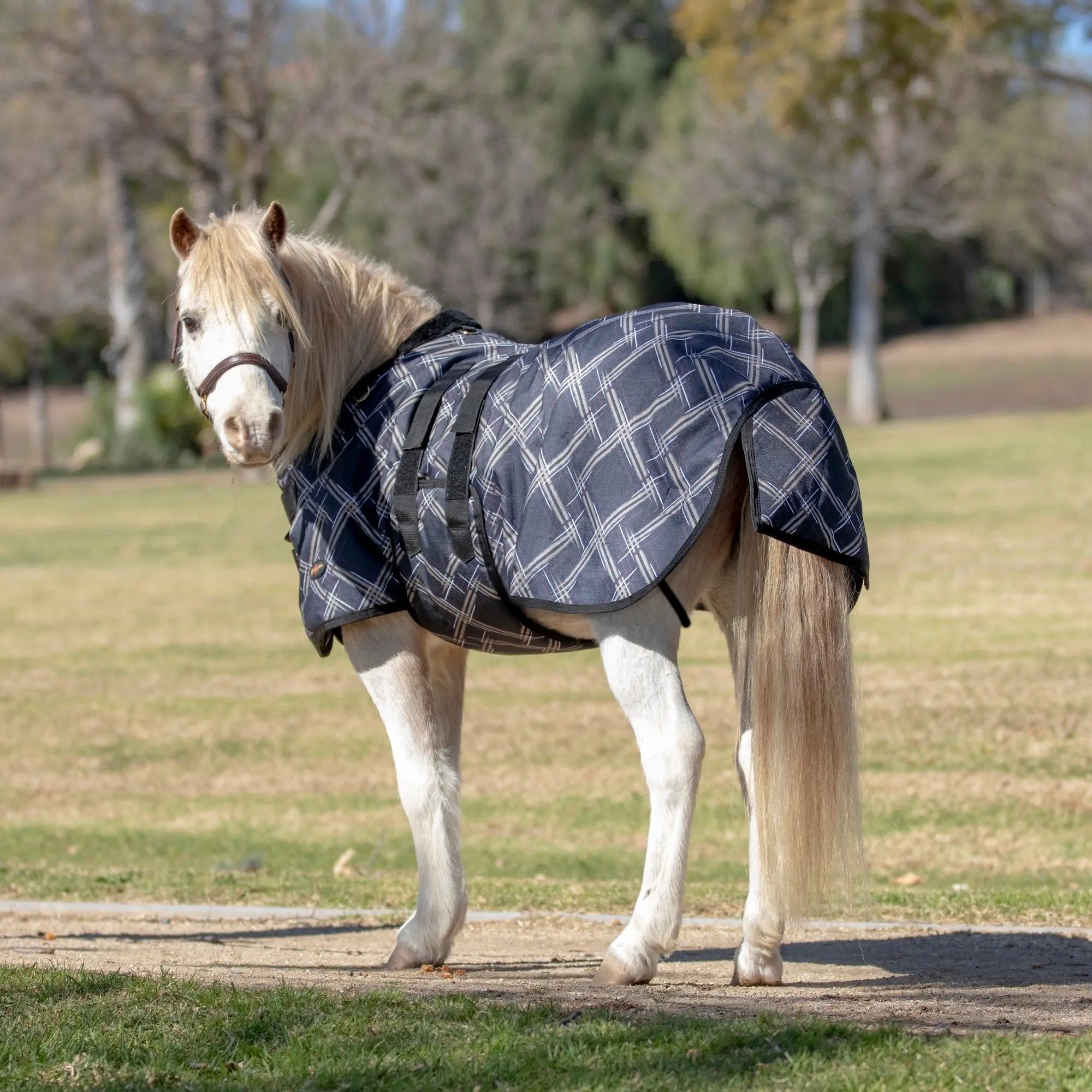 Kensington Mini 80G Light Weight Horse Winter Turnout Blanket - Waterproof & Breathable