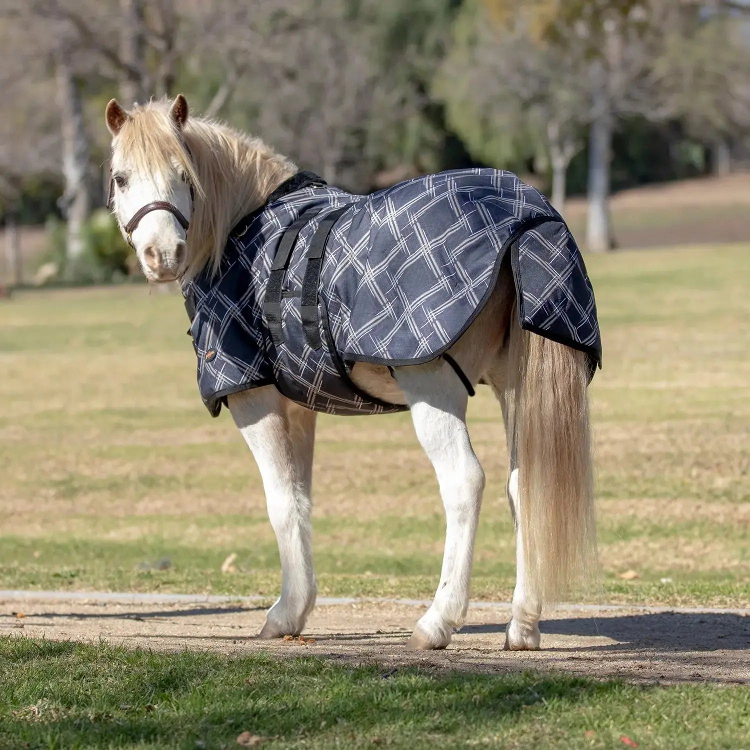 Kensington Mini 180G Medium Weight Horse Winter Turnout Blanket - Waterproof & Breathable