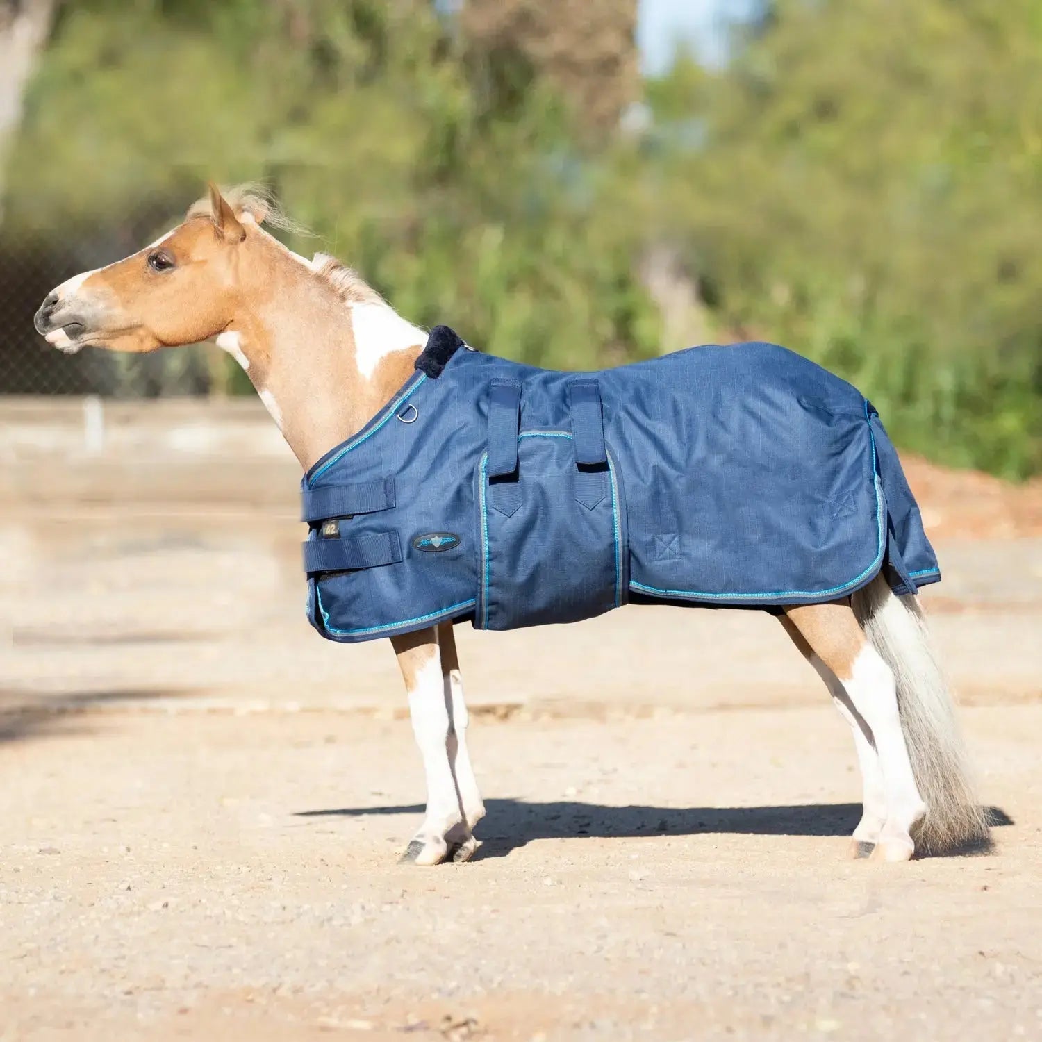Kensington Mini 180G Medium Weight Horse Winter Turnout Blanket - Waterproof & Breathable