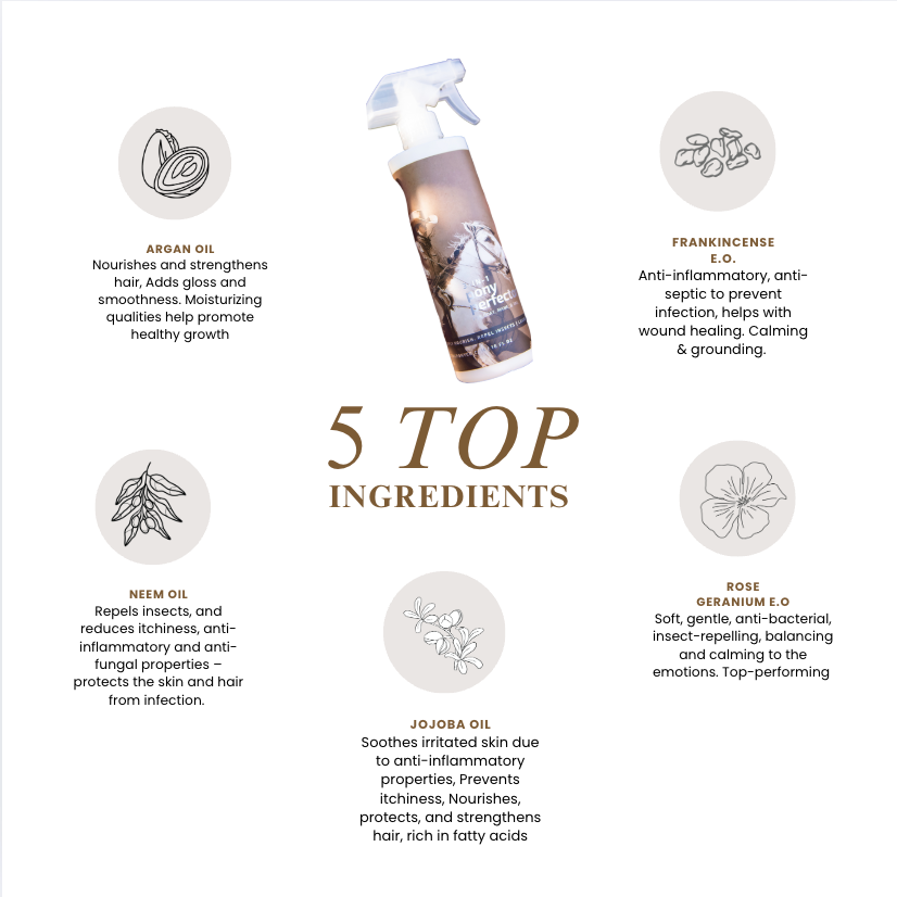 3-in-1 Pony Perfector Leave-in Remedy