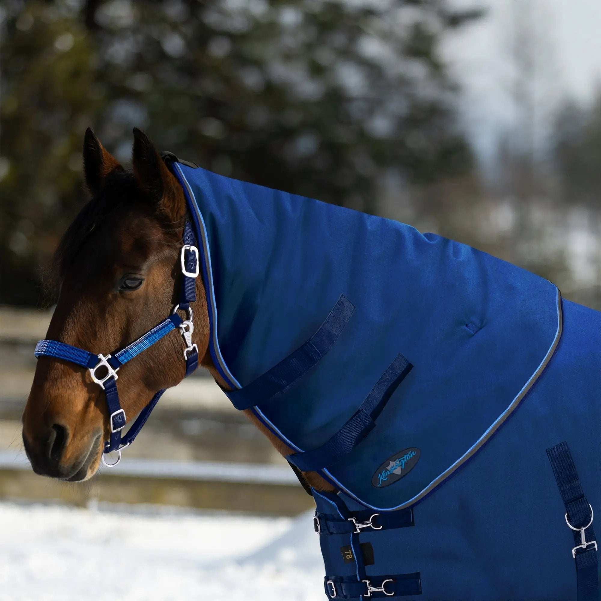 1200D Horse 180G Medium Weight Winter Neck Warmer - Waterproof & Breathable