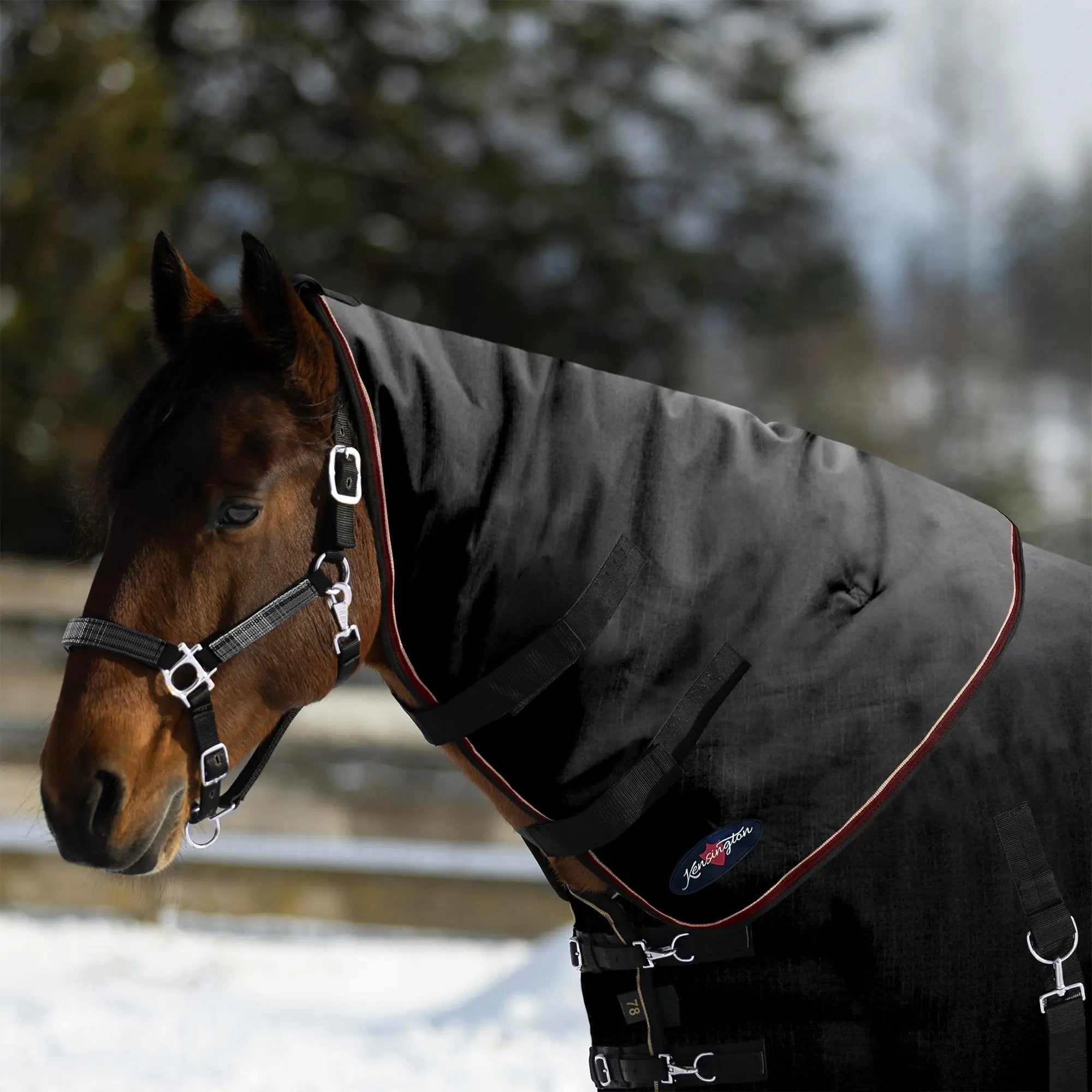 1200D Horse 180G Medium Weight Winter Neck Warmer - Waterproof & Breathable