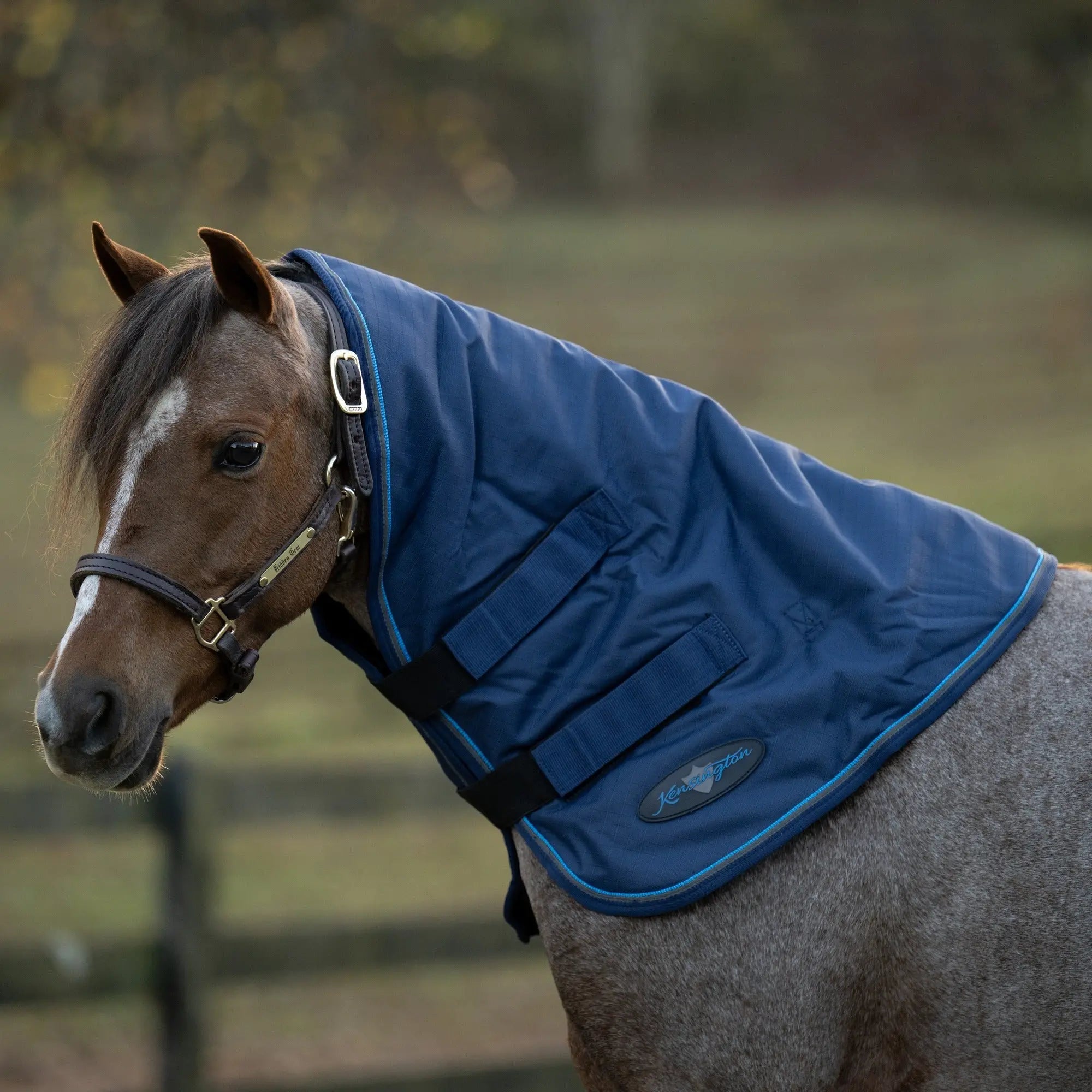 Kensington Pony 180G Medium Weight Winter Neck Warmer - Waterproof & Breathable