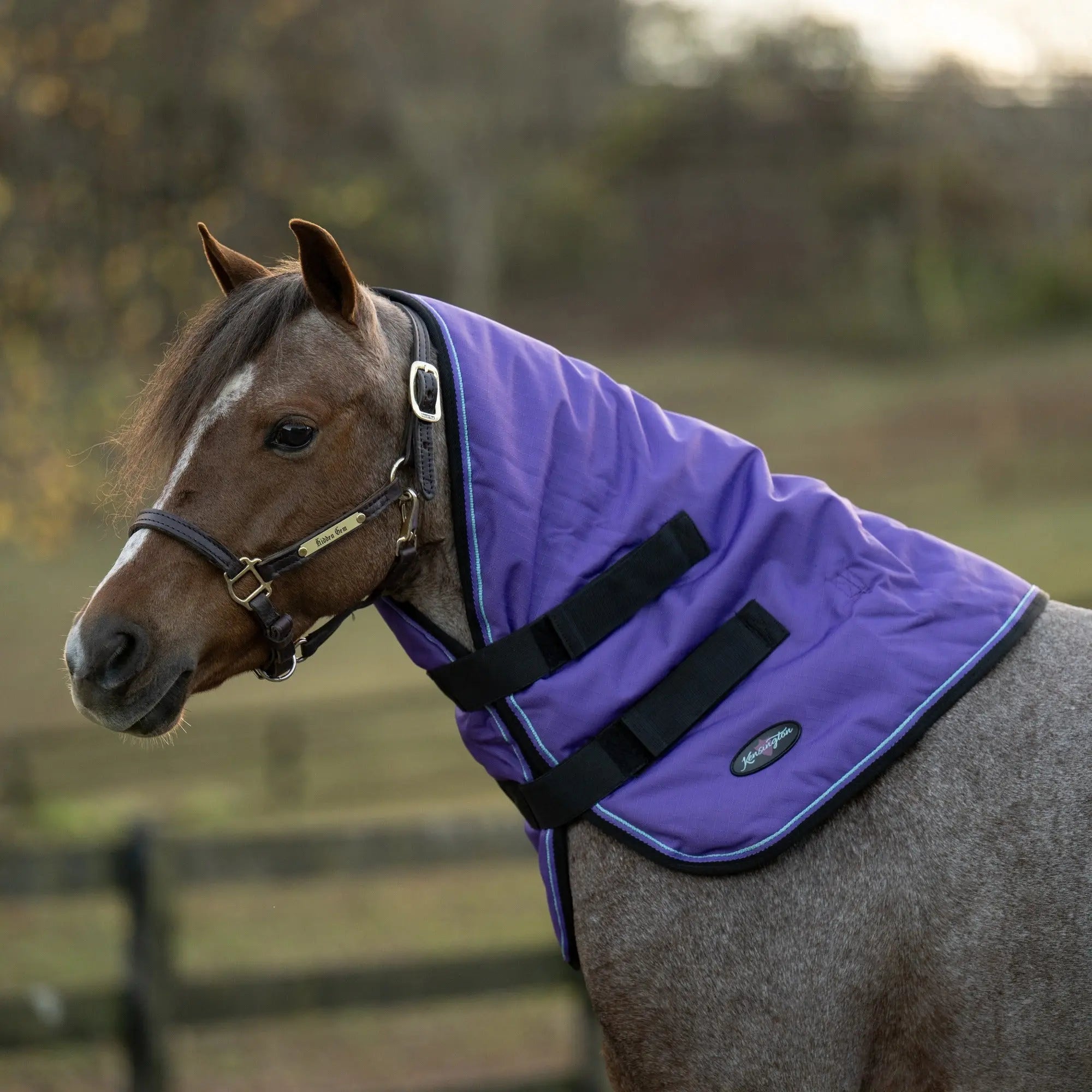 Kensington Pony 180G Medium Weight Winter Neck Warmer - Waterproof & Breathable