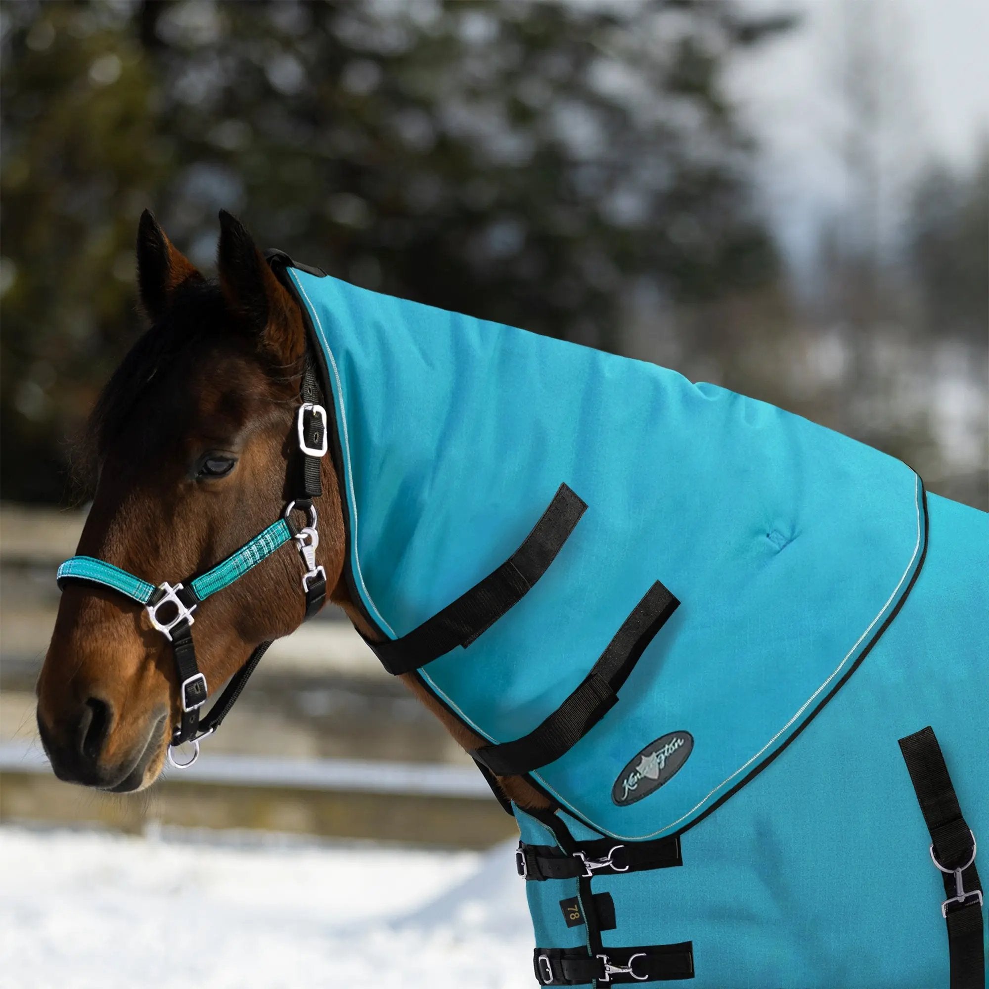 1200D Horse 180G Medium Weight Winter Neck Warmer - Waterproof & Breathable