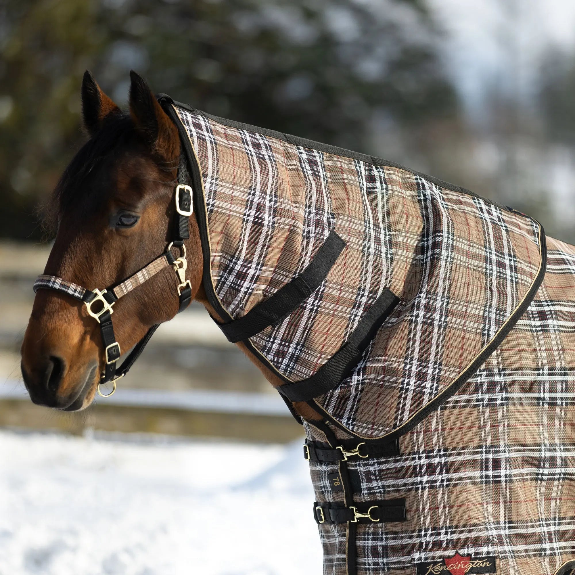 Kensington Supermesh® Horse Winter Neck Warmer - Waterproof & Breathable - Supremely Durable Textilene® - Multiple Weights