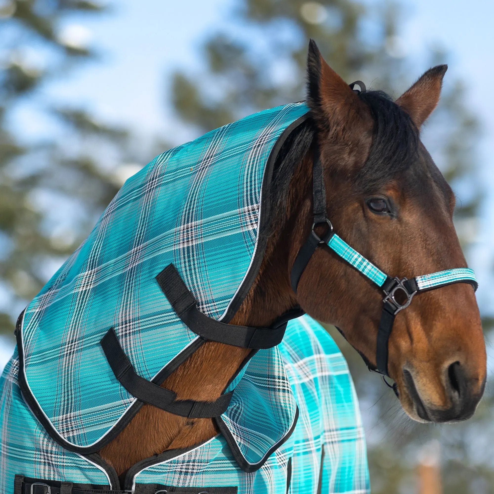 Kensington Supermesh® Horse Winter Neck Warmer - Waterproof & Breathable - Supremely Durable Textilene® - Multiple Weights