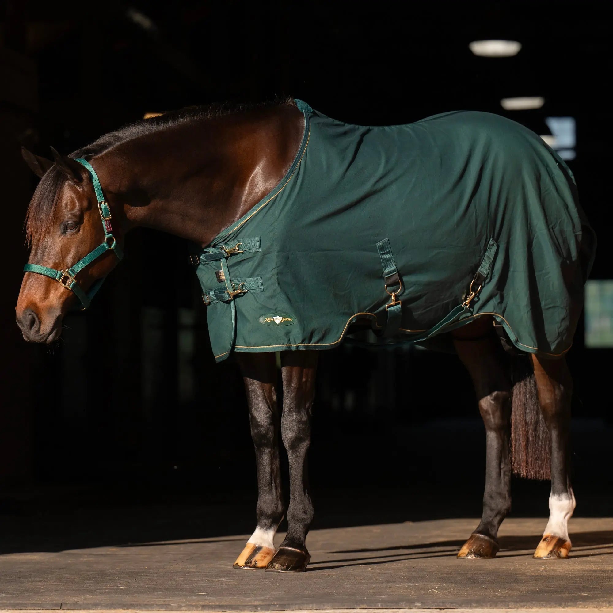Kensington Horse Poly Cotton Day Sheet - Breathable Stable Sheet