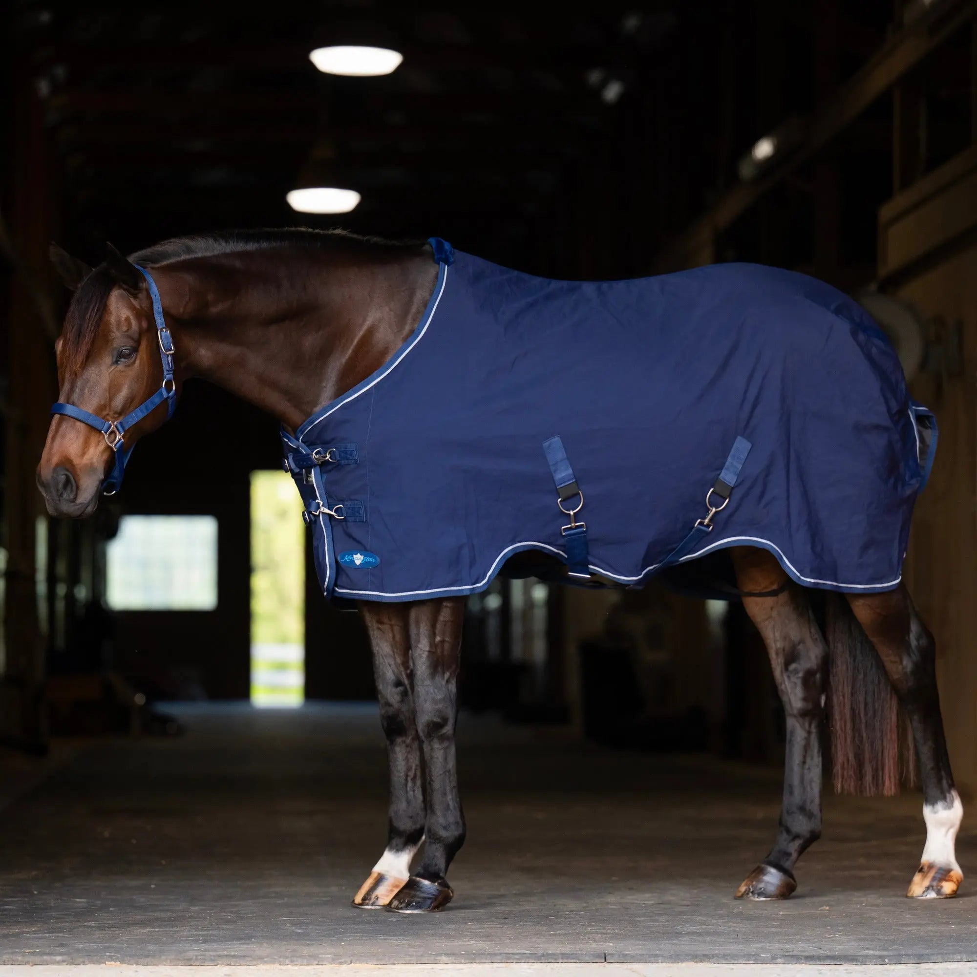 Kensington Horse Poly Cotton Day Sheet - Breathable Stable Sheet